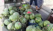 天津美院吃瓜爆料事件,揭秘校园风波背后的真相