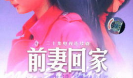 电视剧前妻回家全集在线观看,重温旧爱，情感纠葛再掀波澜
